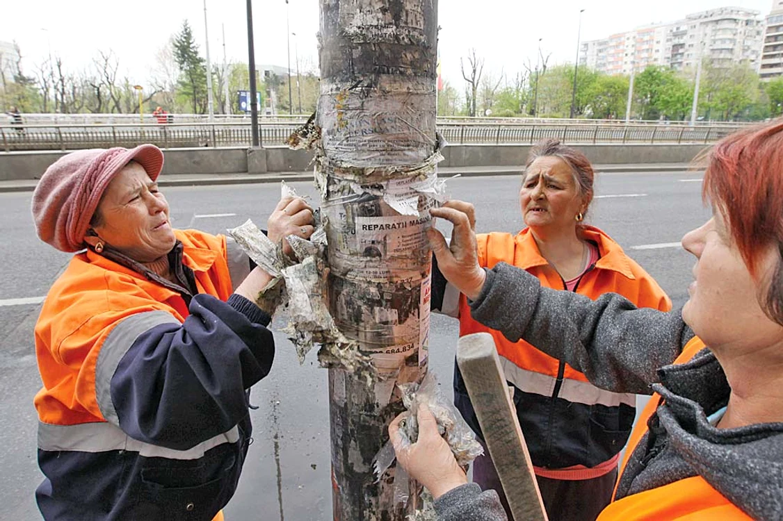 Au fost curăţaţi chiar şi stâlpii pe care erau lipite afişe