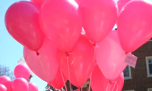 1 72352 original jpg jpeg