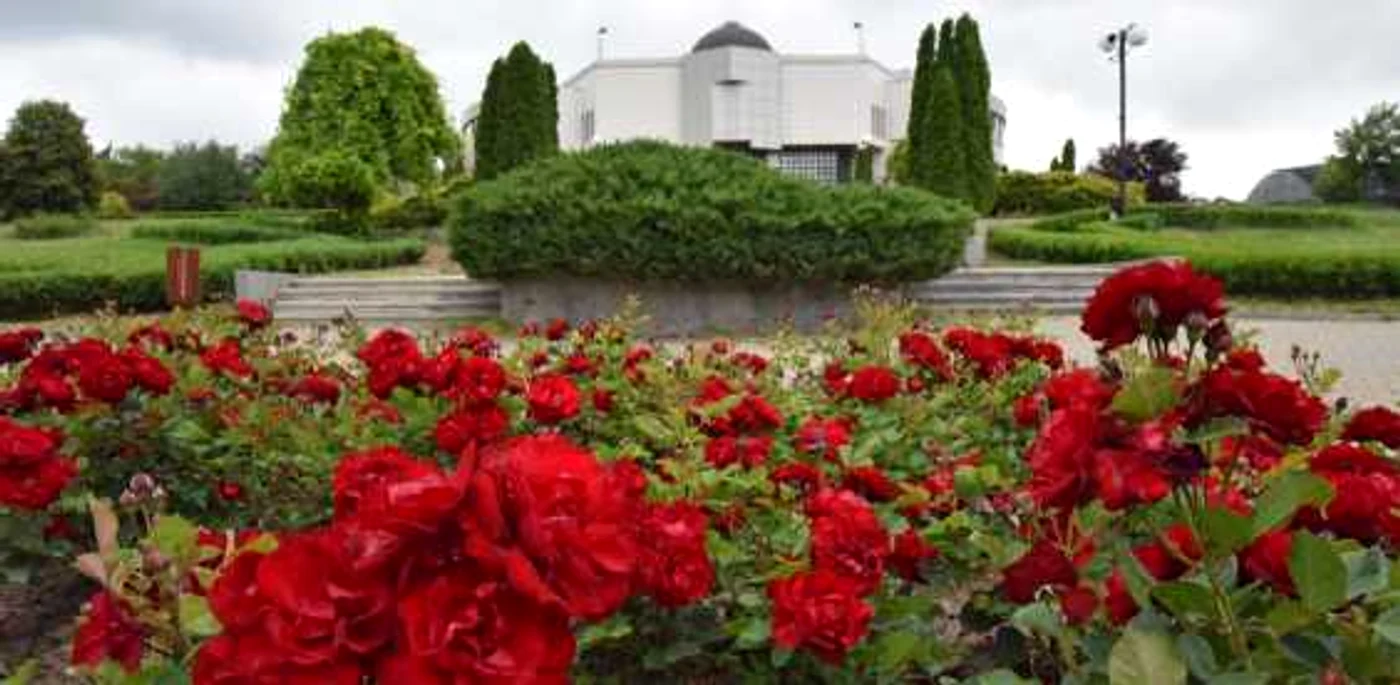 gradina botanica galati 2