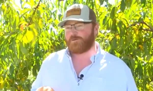 henry chiles piersica record captura video jpg