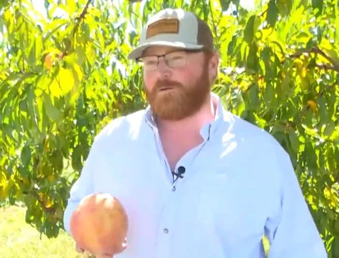 Henry Chiles, mândru de piersica lui de record (Foto: captură video)