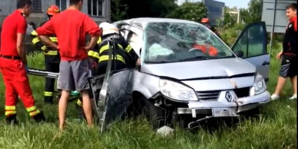 Accident pisică FOTO lugojinfo.ro