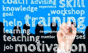 director scoala management educatie   foto pixabay webp