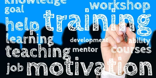 director scoala management educatie foto pixabay webp