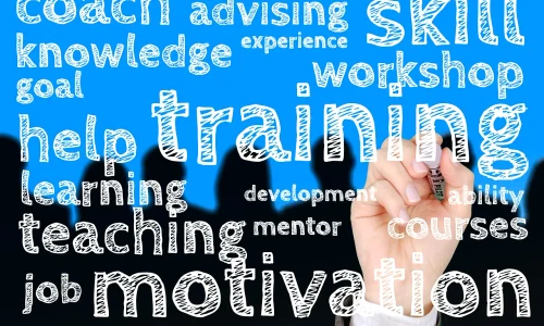 director scoala management educatie foto pixabay webp