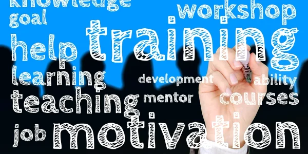 director scoala management educatie   foto pixabay webp