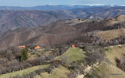 Urșici  Foto Daniel Guță ADEVĂRUL (6) jpg