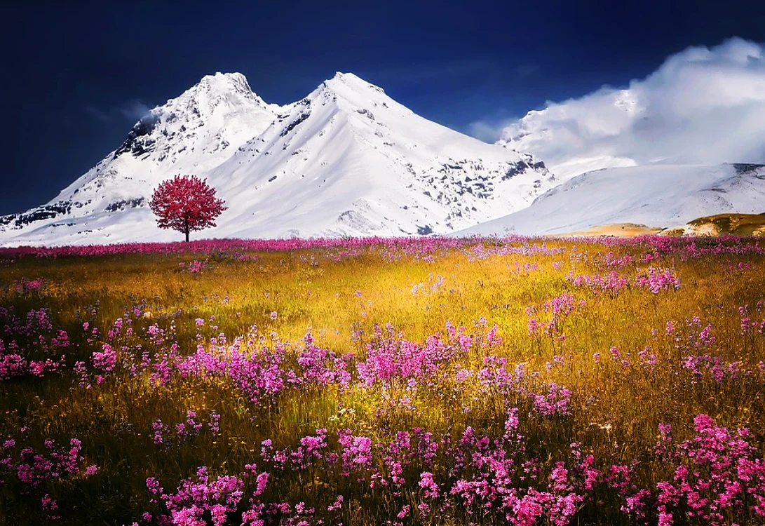 alps jpg jpeg