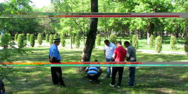buzau crang