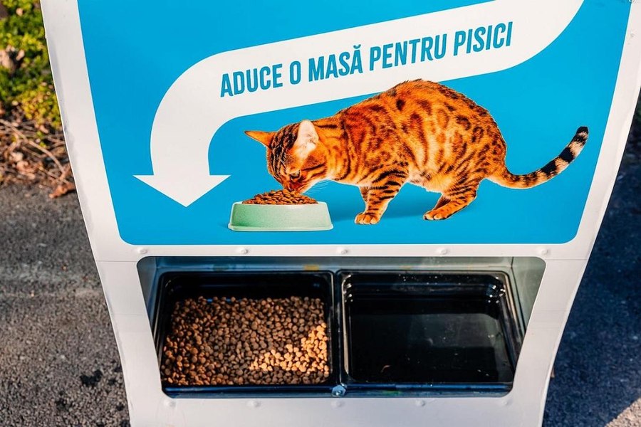 Bucureștenii care reciclează PET-uri pot hrăni pisici fără adăpost. Cum funcționează noile aparate