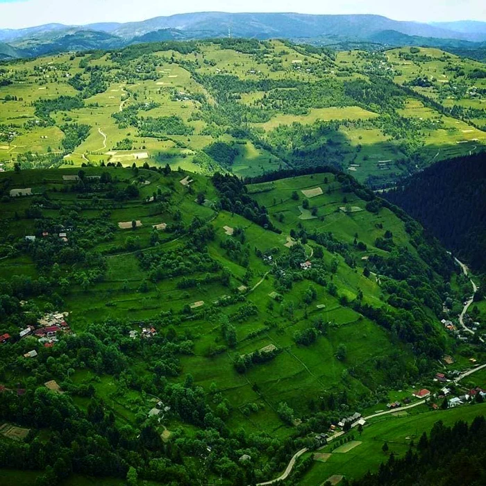 Vidra. Sursa comuna Vidra. Facebook
