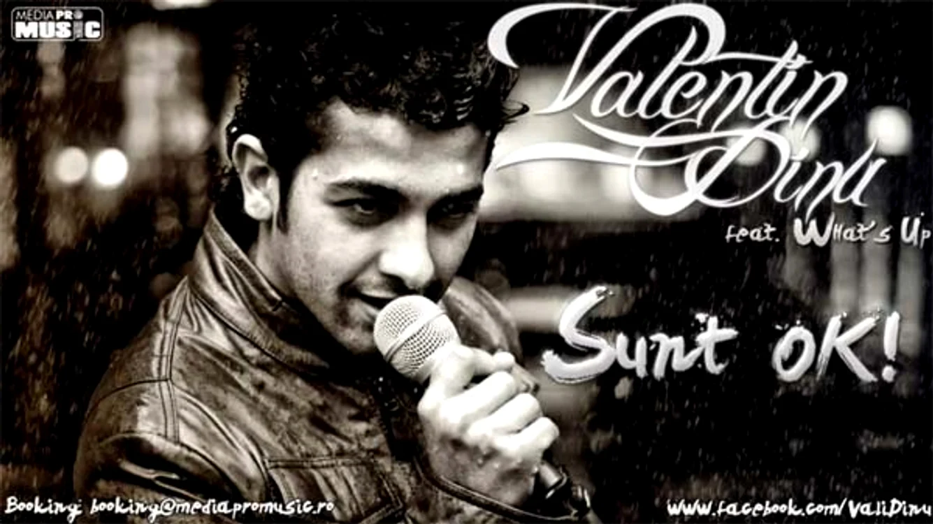 
    Valentin Dinu  