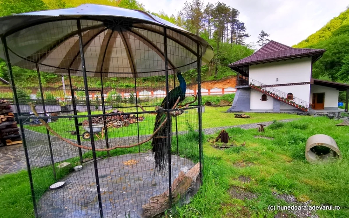 manastire hunedoara prislop si nandru foto daniel guta adevarul