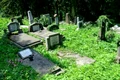 cimitir catolic bellu jpg