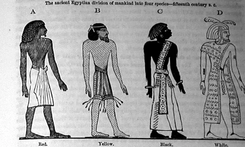 Diferențele anatomice ca temelie pentru rasismul vulgar jpeg
