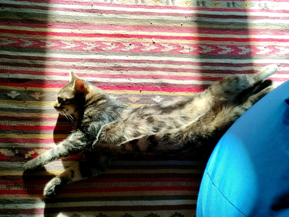 Foto zi si noapte cu realme 9 Pro
