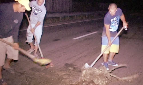Sătenii au ieşit cu  lopeţile să strângă leşurile  aruncate în stradă jpeg