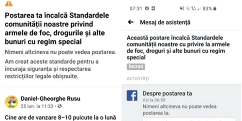 fb primar alba