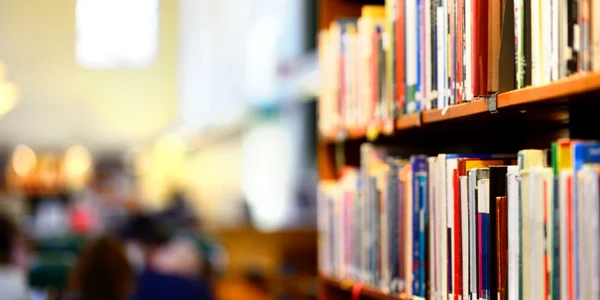 Biblioteca publică FOTO SHUTTERSTOCK