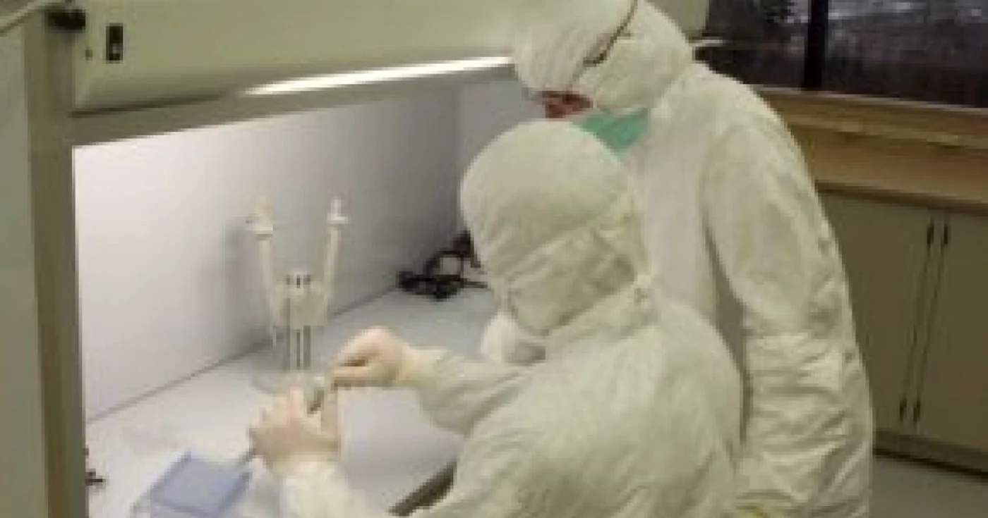 Primele cazuri de gripă porcină comunitară din România: 2 eleve UPDATE
