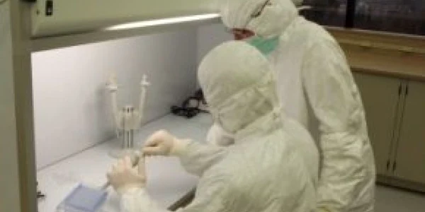 Primele cazuri de gripă porcină comunitară din România: 2 eleve UPDATE