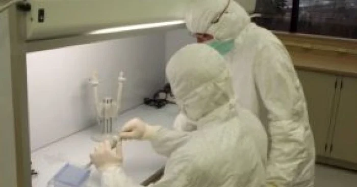 Primele cazuri de gripă porcină comunitară din România: 2 eleve UPDATE
