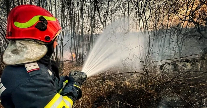 iepure salvat din incendiu
