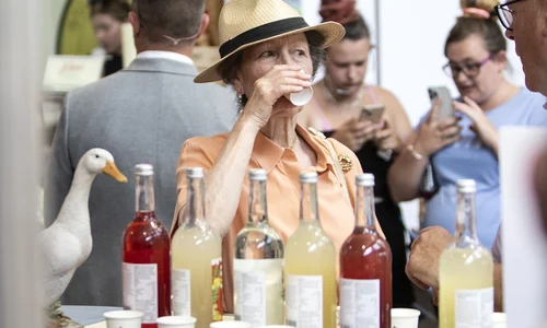 Prințesa Anne pe canicula (7) jpg