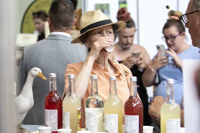 Prințesa Anne pe canicula (7) jpg