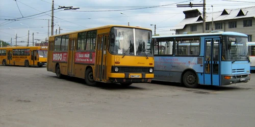 30 de autobuze și opt troleibuze vor înlocui actualele mijloace de transport în comun