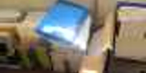 Documentele pentru proiectul minier cu cianuri de la Certej ocupă un spaţiu impresionant