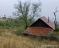Locul natal al lui Arsenie Boca Foto Daniel Guță ADEVĂRUL (69) jpg