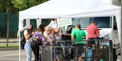Campanie pentru adopţii de câini la echipa Poli FOTO Politehnica Timişoara