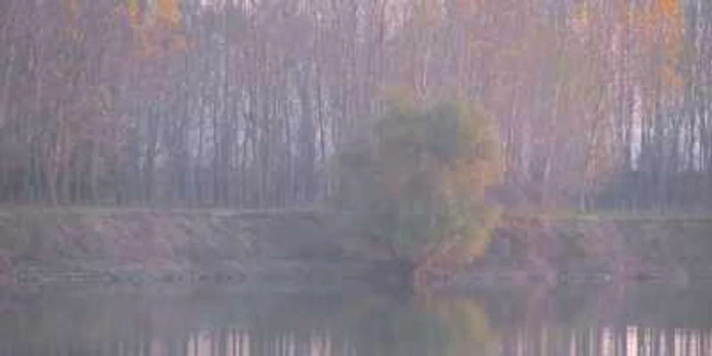 Toamna şi-a intrat în drepturi