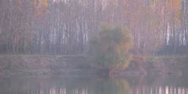 Toamna şi-a intrat în drepturi