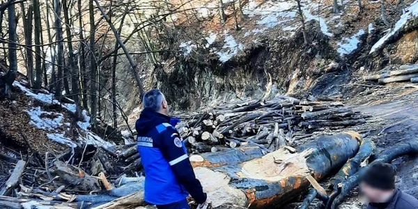 jandarmi montani runcu