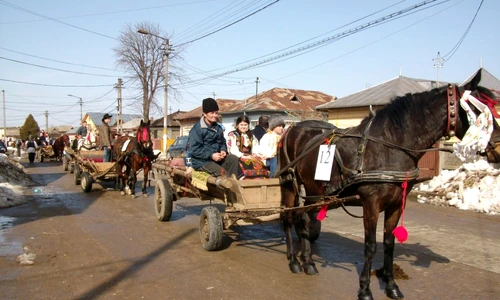 1 74710 original jpg jpeg