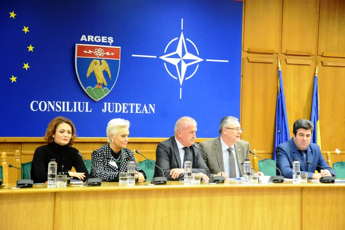 Monica Anghel ocupă funcţia de director artistic al Centrului Cultural Judeţean Argeș