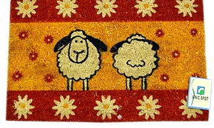 Covor cu peri sârmoşi jpeg