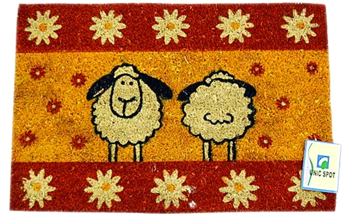 Covor cu peri sârmoşi