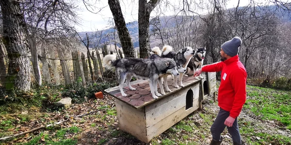 Vadu Dobrii Foto Daniel Guță (69) jpg