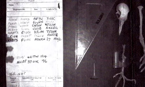 Misterele celui de al Doilea Război Mondial: mesaje codate și porumbei călători jpeg