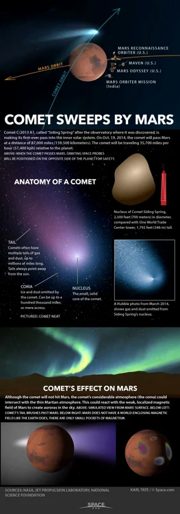 infografie