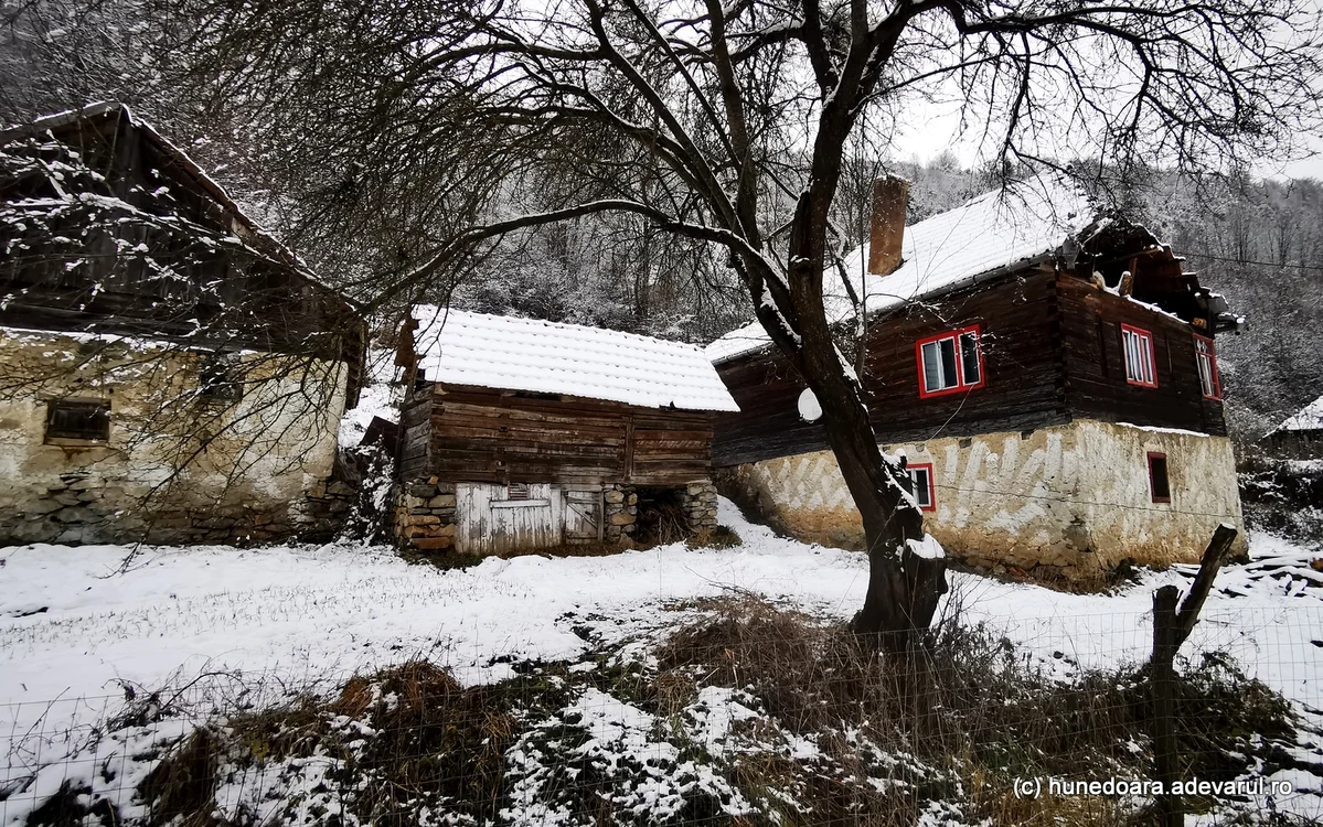 Runcu Mare. Foto: Daniel Guță