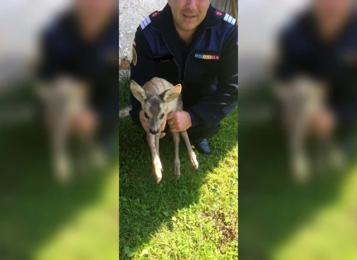 Puiul a fost salvat de pompieri FOTO ISU Sălaj