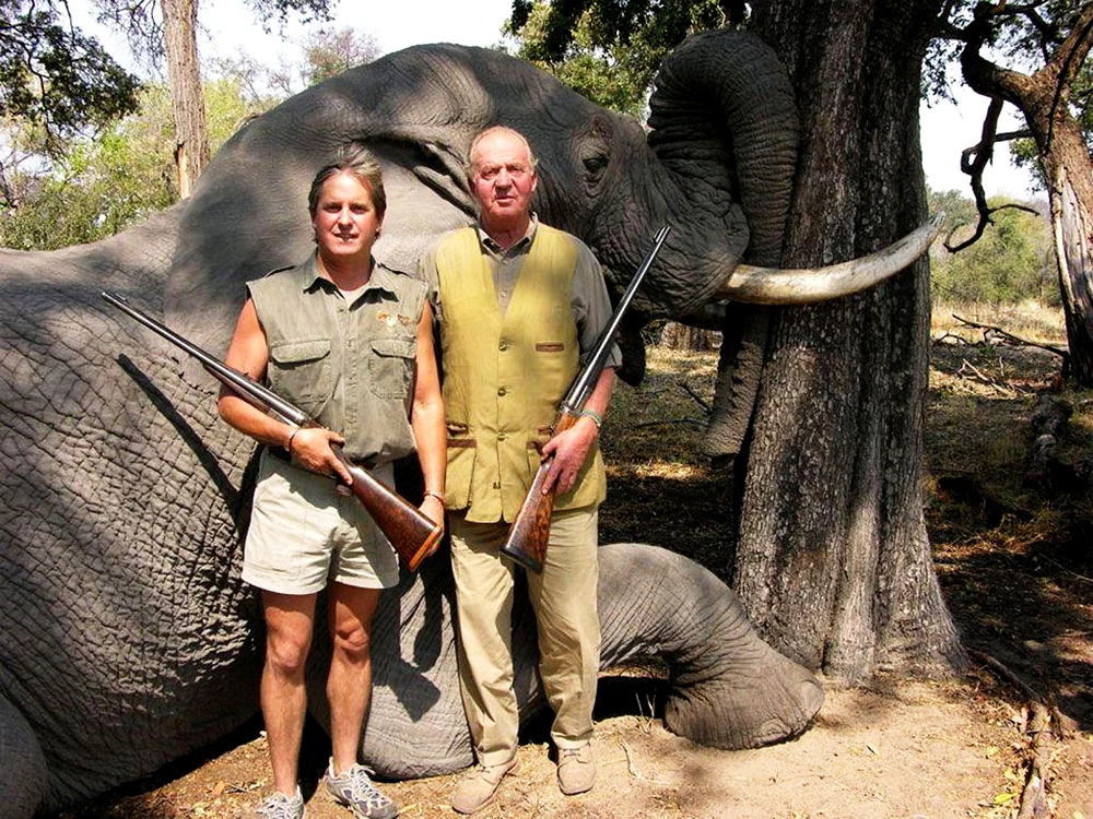 Regele Juan Carlos la vanatoare in Botswana   profimedia 0126221876 jpg