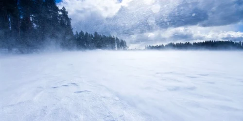 vant iarna zapada