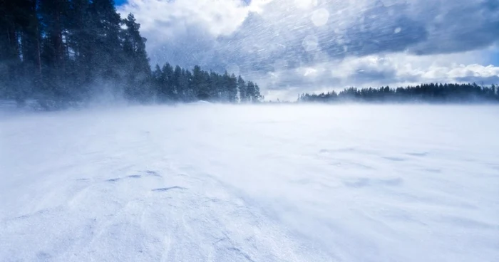Cod galben de vânt în zona montană Foto: Arhivă