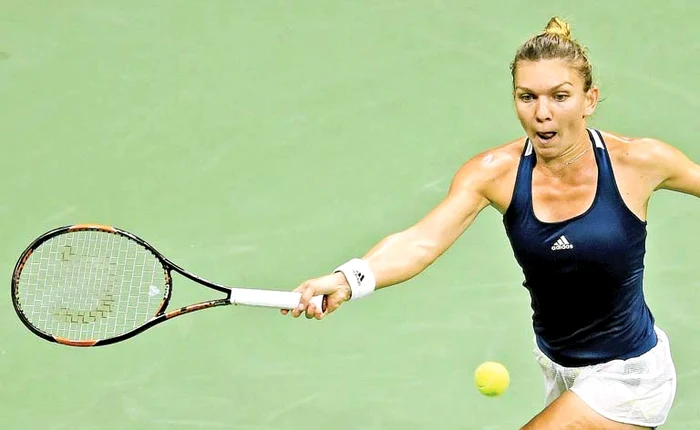 
    Halep a ajuns la 4 milioane  de dolari câştigaţi în 2016Foto: Guliver/ Getty Images  