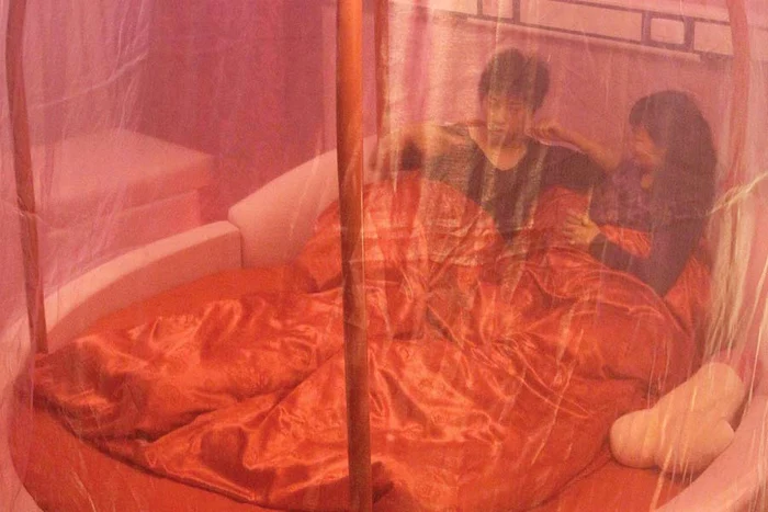 Toate obiectele din cameră  au tematică sexuală (Fotografii: Afp)